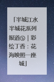 半城江水半城花系列报道⑤｜彩绘丁香：花海映照一座城