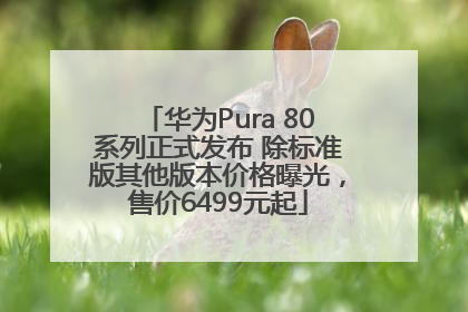 华为Pura 80系列正式发布 除标准版其他版本价格曝光，售价6499元起