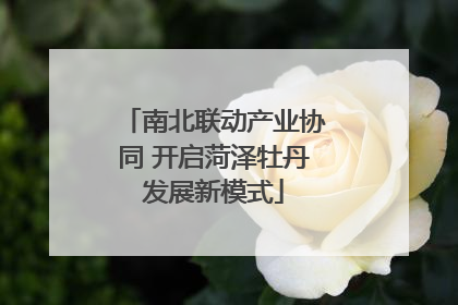 南北联动产业协同 开启菏泽牡丹发展新模式