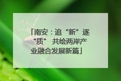 南安：追“新”逐“质” 共绘两岸产业融合发展新篇