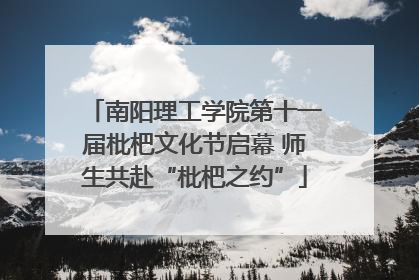 南阳理工学院第十一届枇杷文化节启幕 师生共赴“枇杷之约”