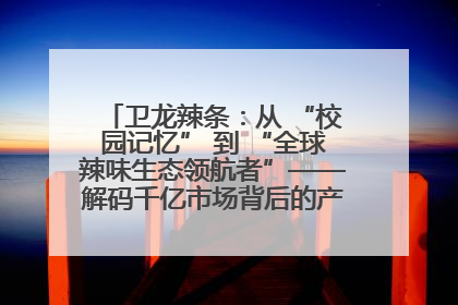 卫龙辣条：从 “校园记忆” 到 “全球辣味生态领航者”——解码千亿市场背后的产品创新与全链路破圈