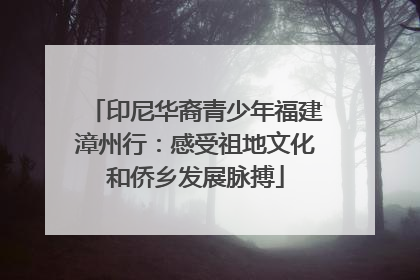 印尼华裔青少年福建漳州行：感受祖地文化和侨乡发展脉搏