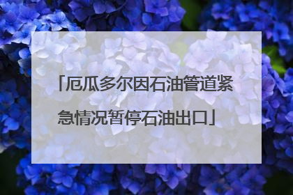 厄瓜多尔因石油管道紧急情况暂停石油出口