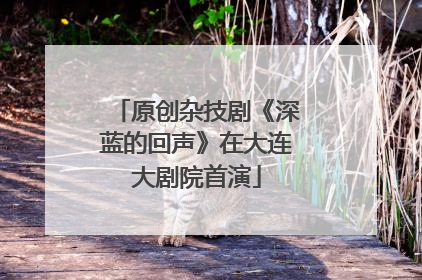原创杂技剧《深蓝的回声》在大连大剧院首演