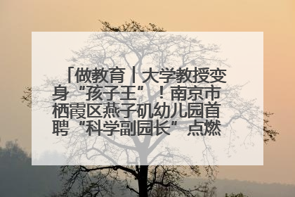 做教育︱大学教授变身“孩子王”！南京市栖霞区燕子矶幼儿园首聘“科学副园长”点燃萌娃科学梦