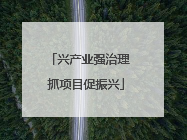 兴产业强治理 抓项目促振兴