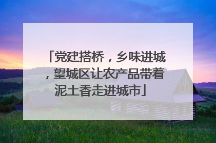 党建搭桥，乡味进城，望城区让农产品带着泥土香走进城市