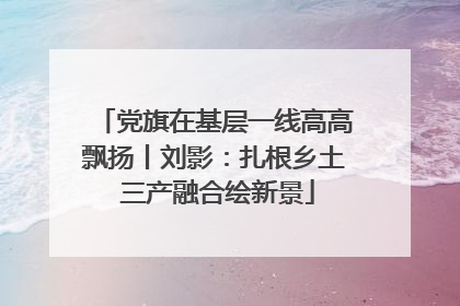 党旗在基层一线高高飘扬丨刘影：扎根乡土 三产融合绘新景