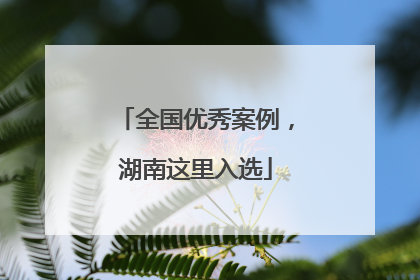 全国优秀案例，湖南这里入选