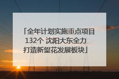 全年计划实施重点项目132个 沈阳大东全力打造新望花发展板块