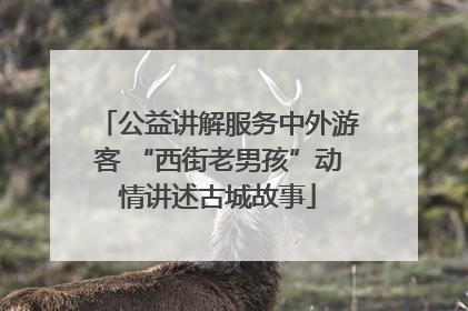 公益讲解服务中外游客 “西街老男孩”动情讲述古城故事
