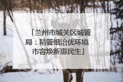 兰州市城关区城管局：精管细治优环境 市容焕新惠民生