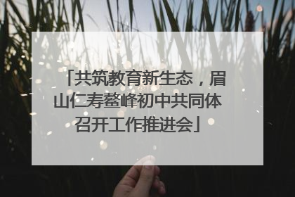 共筑教育新生态，眉山仁寿鳌峰初中共同体召开工作推进会