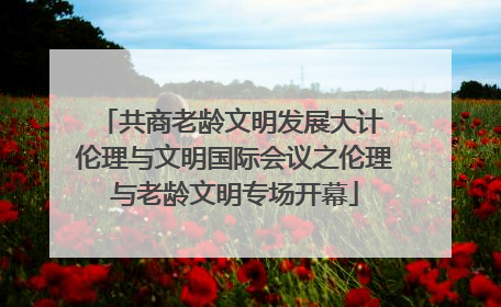 共商老龄文明发展大计 伦理与文明国际会议之伦理与老龄文明专场开幕