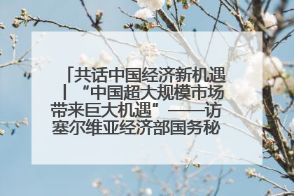 共话中国经济新机遇丨“中国超大规模市场带来巨大机遇”——访塞尔维亚经济部国务秘书尼科利奇