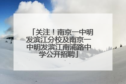 关注！南京一中明发滨江分校及南京一中明发滨江南浦路中学公开招聘