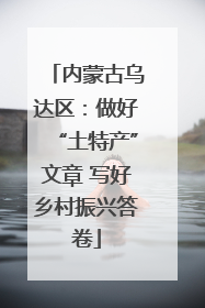 内蒙古乌达区：做好“土特产”文章 写好乡村振兴答卷