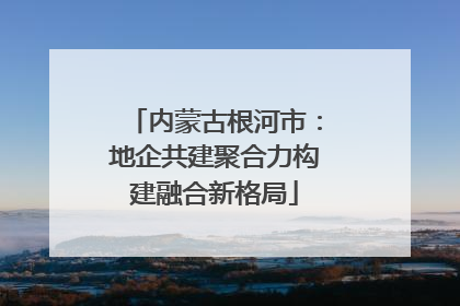 内蒙古根河市：地企共建聚合力构建融合新格局