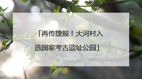 再传捷报！大河村入选国家考古遗址公园