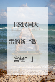 农民闫大雷的新“致富经”