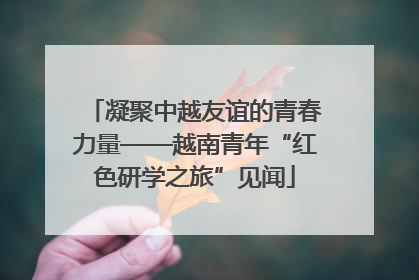 凝聚中越友谊的青春力量——越南青年“红色研学之旅”见闻