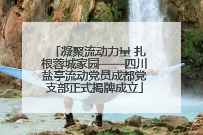 凝聚流动力量 扎根蓉城家园——四川盐亭流动党员成都党支部正式揭牌成立