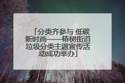 分类齐参与 低碳新时尚——椿树街道垃圾分类主题宣传活动成功举办