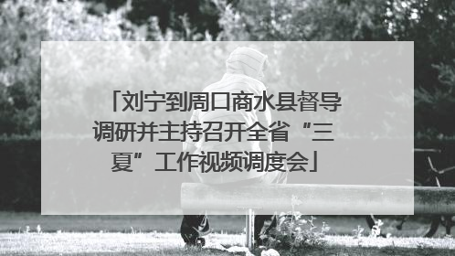 刘宁到周口商水县督导调研并主持召开全省“三夏”工作视频调度会
