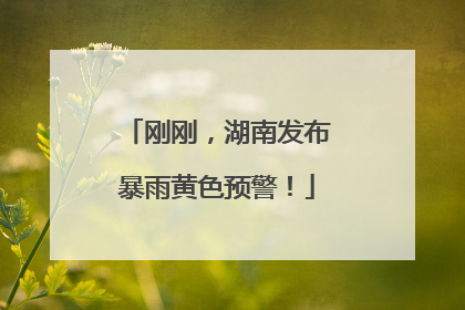 刚刚，湖南发布暴雨黄色预警！