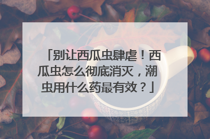 别让西瓜虫肆虐!西瓜虫怎么彻底消灭,潮虫用什么药最有效?