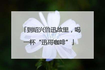 到绍兴鲁迅故里，喝一杯“迅哥咖啡”