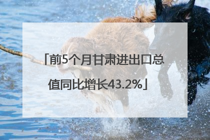 前5个月甘肃进出口总值同比增长43.2%