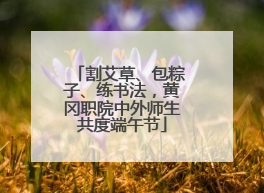 割艾草、包粽子、练书法，黄冈职院中外师生共度端午节