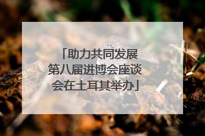 助力共同发展 第八届进博会座谈会在土耳其举办