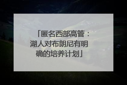 匿名西部高管：湖人对布朗尼有明确的培养计划
