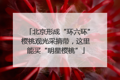 北京形成“环六环”樱桃观光采摘带，这里能买“明星樱桃”
