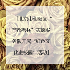 北京市朝阳区“首都老兵”志愿服务队开展“红色文化进校园”活动