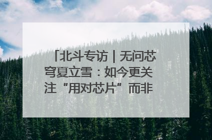 北斗专访｜无问芯穹夏立雪：如今更关注“用对芯片”而非“用贵芯片”