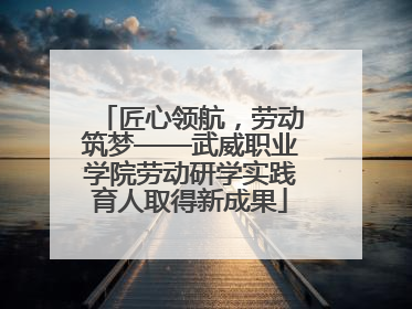 匠心领航，劳动筑梦——武威职业学院劳动研学实践育人取得新成果