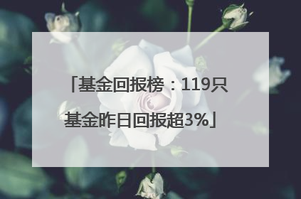 基金回报榜：119只基金昨日回报超3%