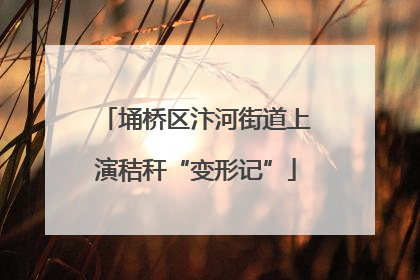 埇桥区汴河街道上演秸秆“变形记”