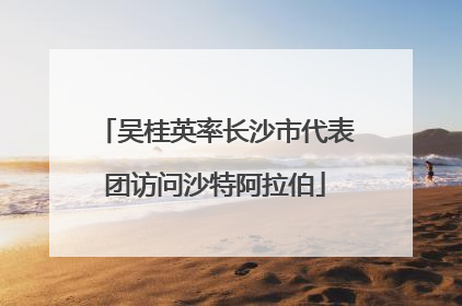 吴桂英率长沙市代表团访问沙特阿拉伯