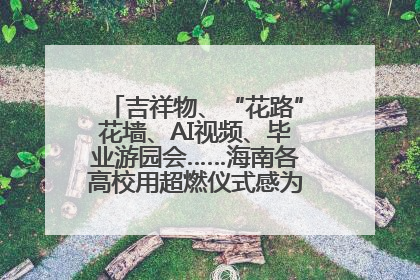 吉祥物、“花路”花墙、AI视频、毕业游园会……海南各高校用超燃仪式感为学子青春“存档”