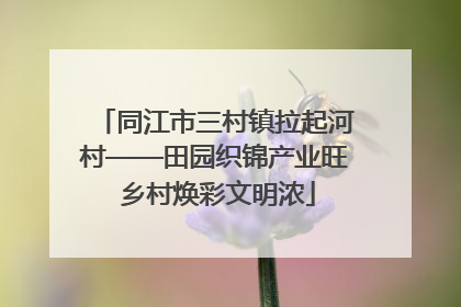 同江市三村镇拉起河村——田园织锦产业旺 乡村焕彩文明浓