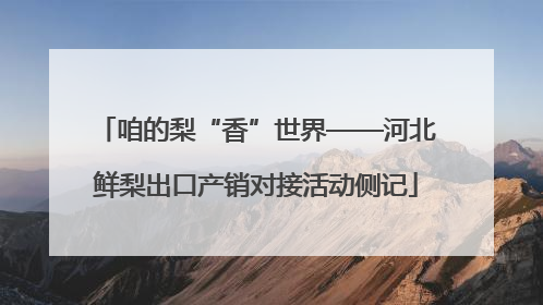 咱的梨“香”世界——河北鲜梨出口产销对接活动侧记