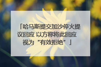 哈马斯提交加沙停火提议回应 以方称将此回应视为“有效拒绝”