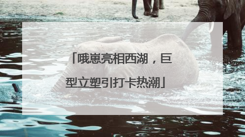 哦崽亮相西湖，巨型立塑引打卡热潮