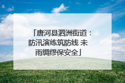 唐河县泗洲街道：防汛演练筑防线 未雨绸缪保安全