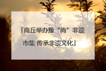 商丘举办豫“尚”非遗市集 传承非遗文化
